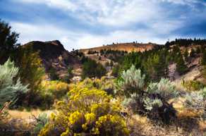 John Day Painted Hills-3745 John Day Painted Hills-3745